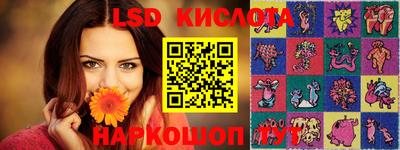 гашик Кимры