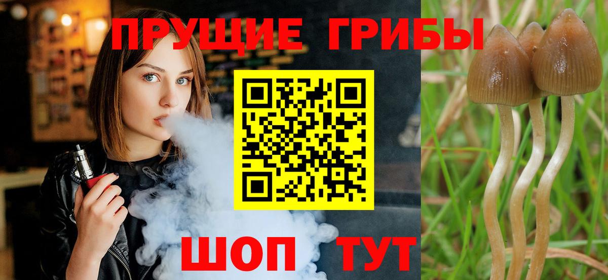 Псилоцибиновые грибы мухоморы  Галлюциногенные грибы Magic Shrooms  Вход с VPN  Краснознаменск 